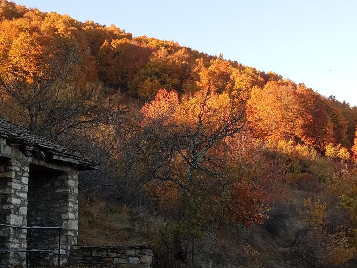 Guesthouse Kontogianni - Materka Nimféo Kültér fotó